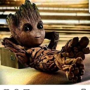 Meet your Posher, Peter